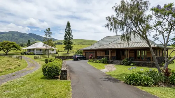 How to Choose the Best Luxury Real Estate Agent in Kamuela, HI,Travis Lee Scott