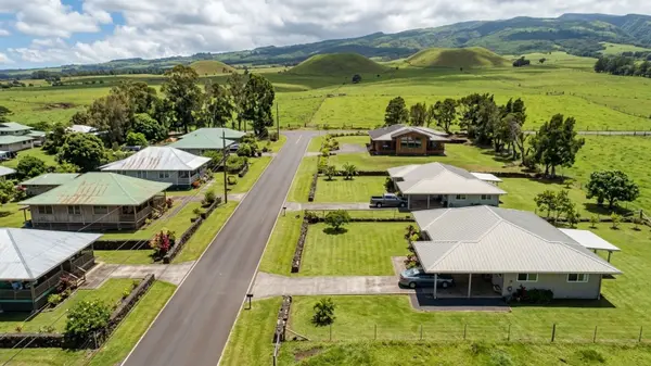 What to Expect for Airbnb Revenue and Occupancy in Kamuela, HI,Travis Lee Scott