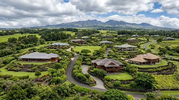 What to Expect When Buying a Luxury Home in Kamuela, HI,Travis Lee Scott