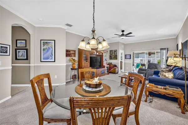 19355 HASKELL PL, Land O Lakes, FL 34638