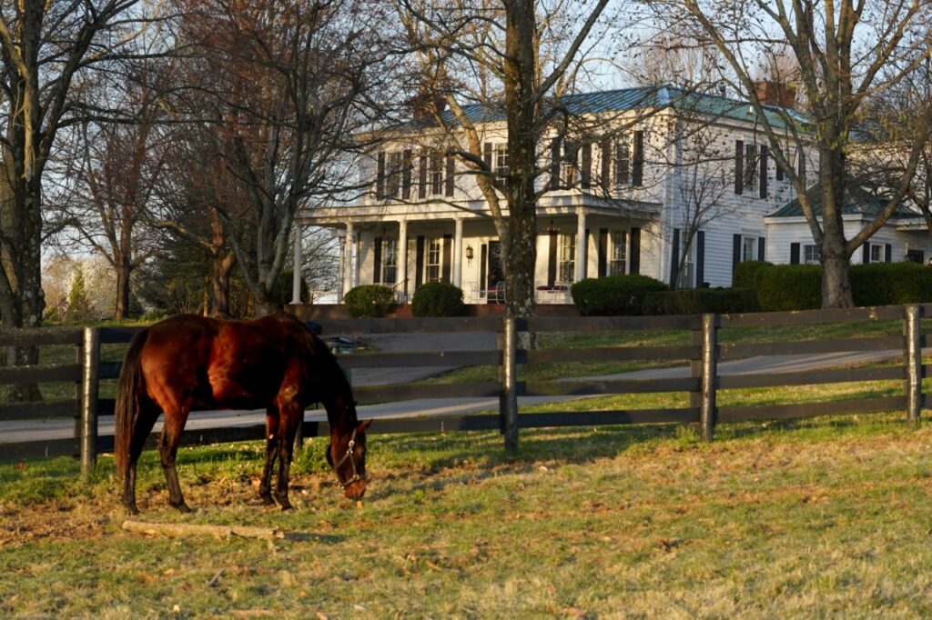 Sanctuary-Farm-Chestnut-Hall-Oldham-Farm-Tours-1024x682