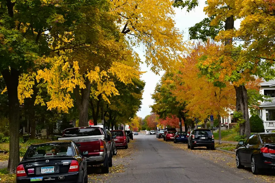 Oakwood