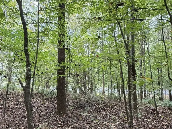 8935 Saddle TRL, Ball Ground, GA 30107