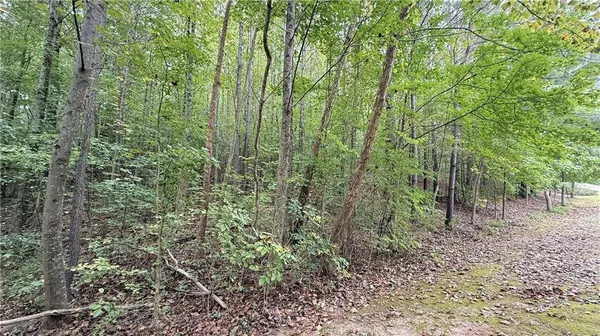 8935 Saddle TRL, Ball Ground, GA 30107