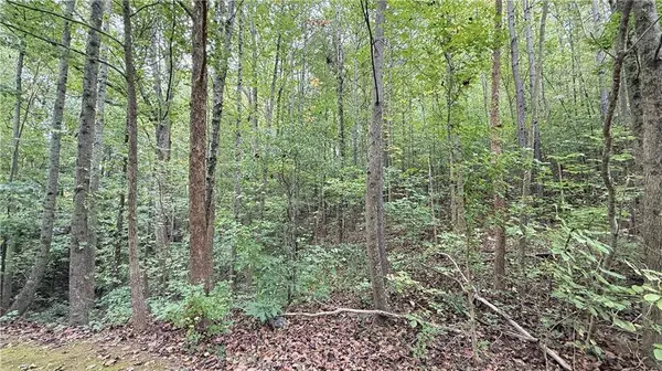 8935 Saddle TRL, Ball Ground, GA 30107