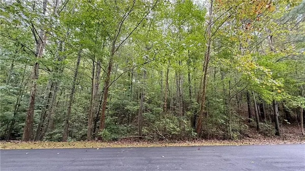 8935 Saddle TRL, Ball Ground, GA 30107