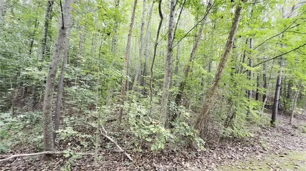 8935 Saddle TRL, Ball Ground, GA 30107