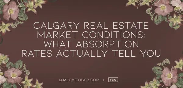Calgary Real Estate Market Conditions: What Absorption Rates Actually Tell You,Itxy Ming