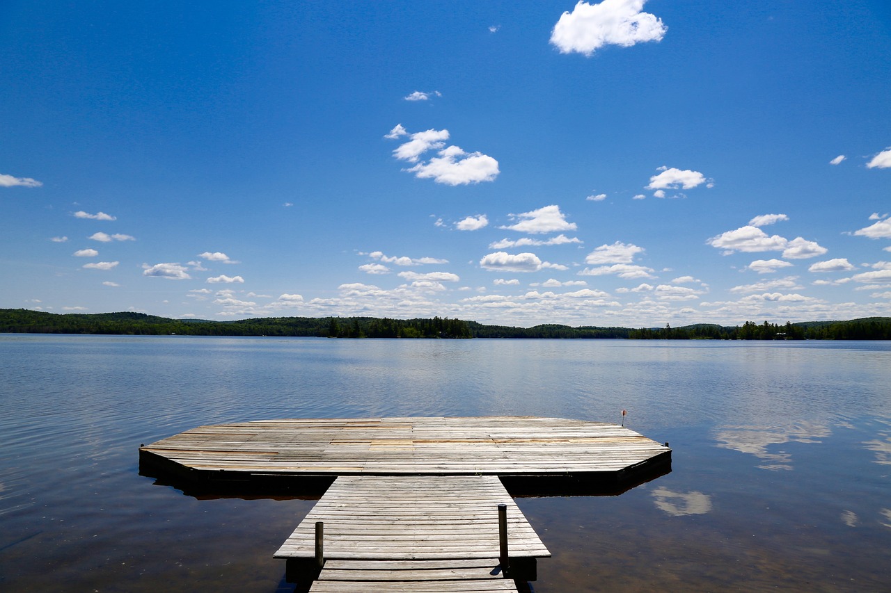 Scugog Area Property