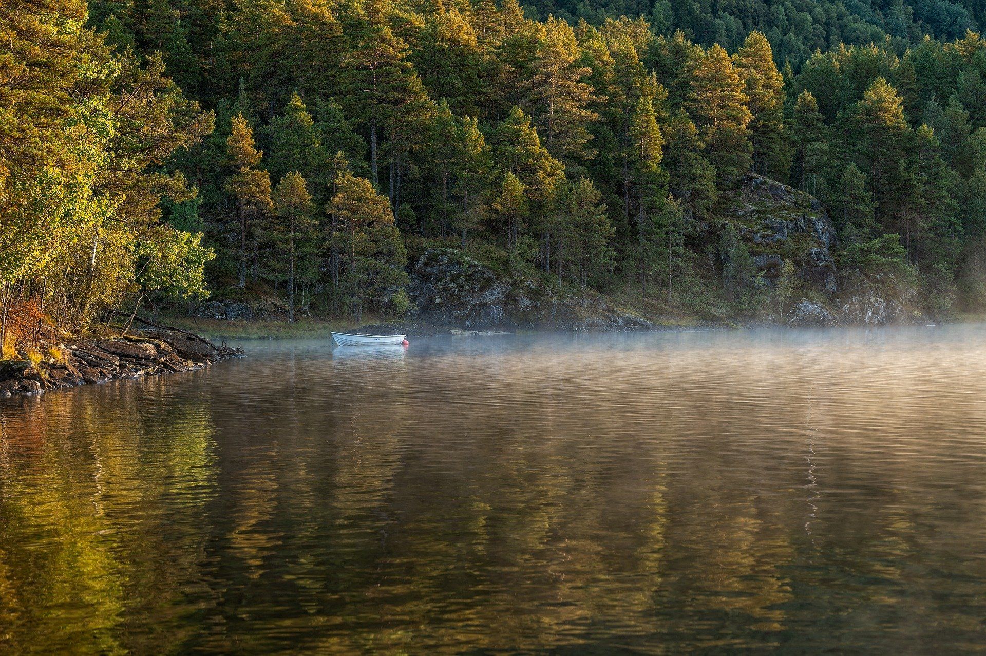 Young Lake