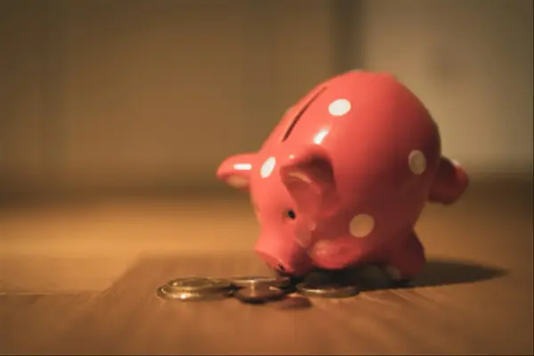The $30,000 hidden in your Mortgage Payments,Christine Domina