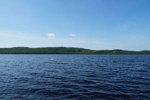 1173 Highway 60 N/A, South Algonquin, ON P1H 2G9