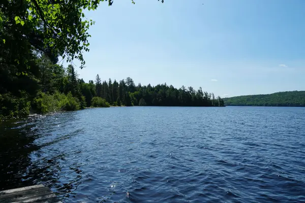 1173 Highway 60 N/A, South Algonquin, ON P1H 2G9