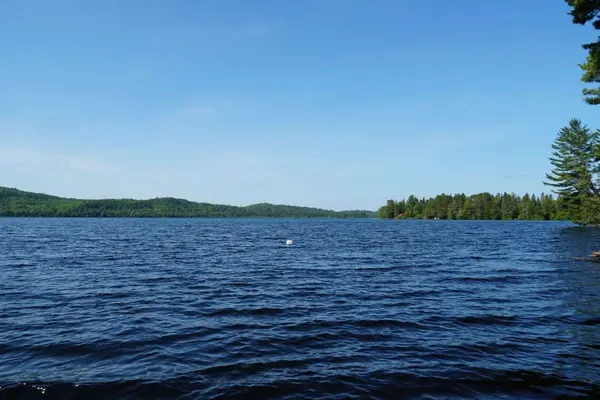 1173 Highway 60 N/A, South Algonquin, ON P1H 2G9