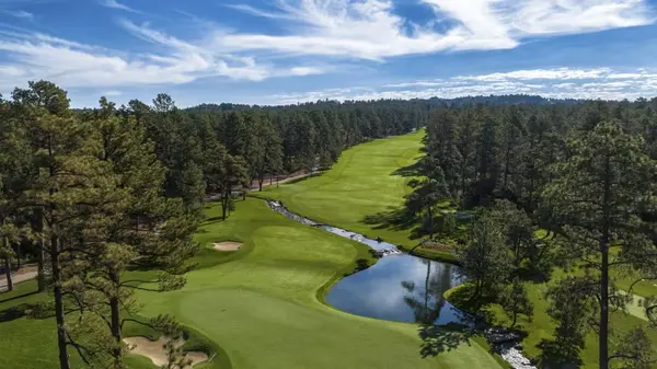 castle-pines-hole-14