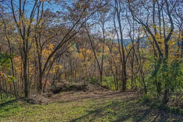 22880 Misslich Drive, Richland Center, WI 53581