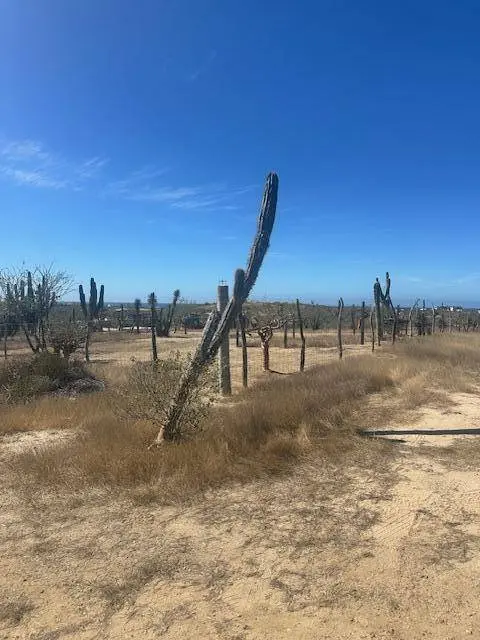 calle sin nombre Lote 2011, Pacific, BCS