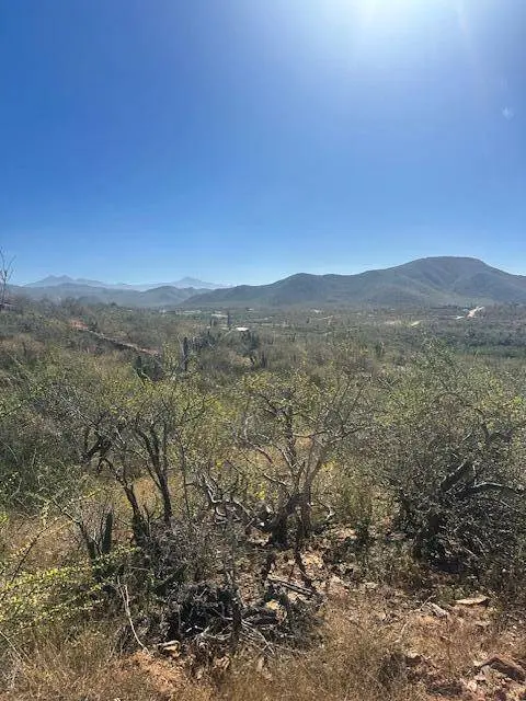 calle sin nombre Lote 801, Pacific, BCS
