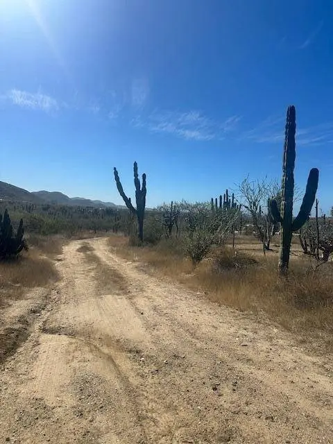 calle sin nombre Lote 2011, Pacific, BCS