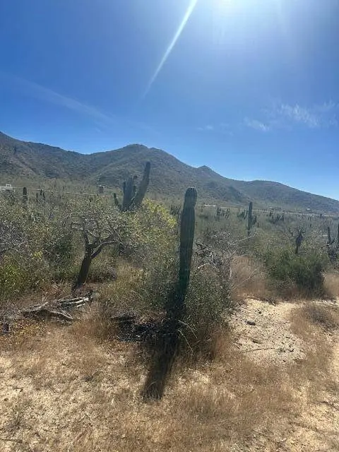 calle sin nombre Lote 2011, Pacific, BCS