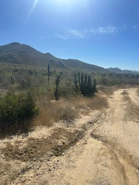 calle sin nombre Lote 2011, Pacific, BCS