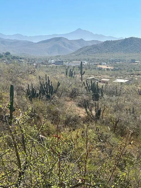calle sin nombre Lote 801, Pacific, BCS