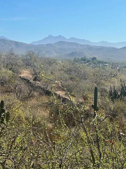 calle sin nombre Lote 801, Pacific, BCS