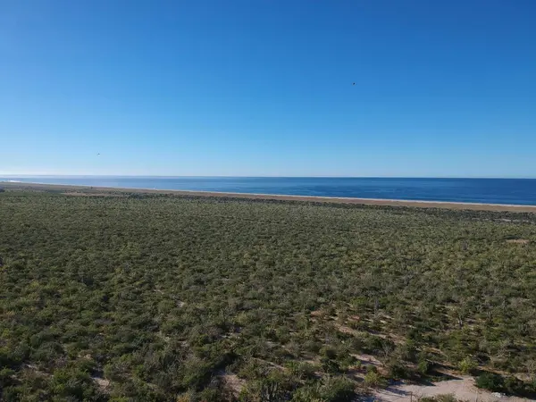 calle sin nombre Las Playitas Lots 4 &5, Pacific, BCS