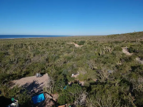 calle sin nombre Las Playitas Lots 4 &5, Pacific, BCS