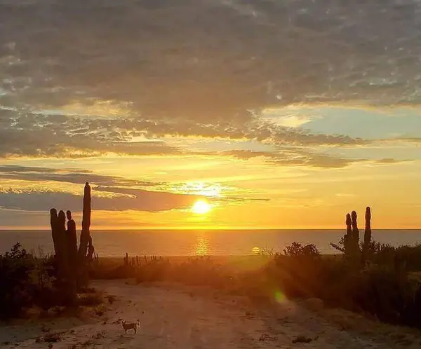 calle sin nombre Las Playitas Lots 4 &5, Pacific, BCS