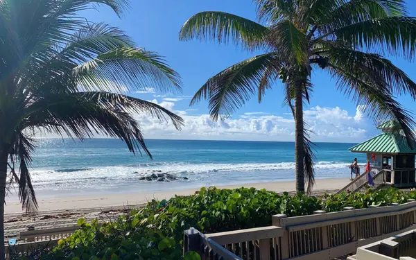 South Florida vs Southwest Florida: Which Lifestyle Fits You Best?,Maylene Gonzalez, P.A.