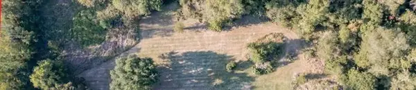 3661 STATE HIGHWAY 19, Riverside, TX 77367