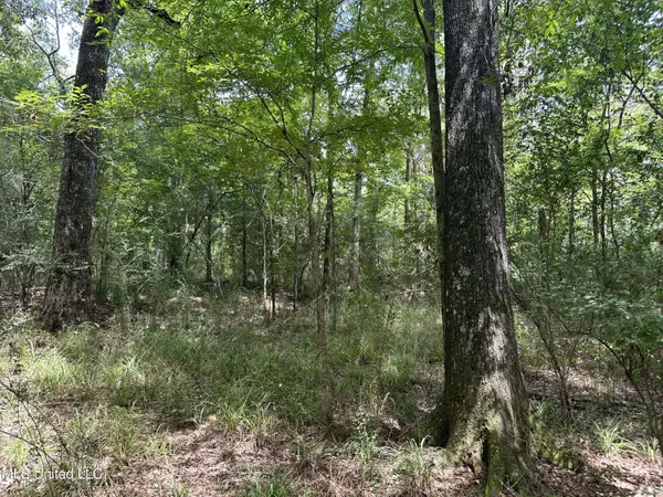 550, Union Church, MS 39668