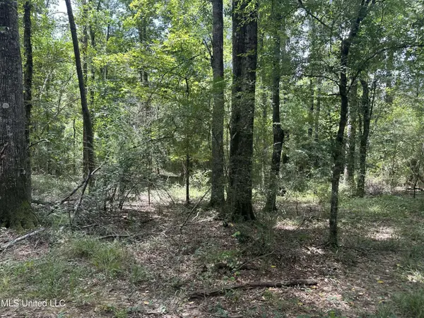 550, Union Church, MS 39668
