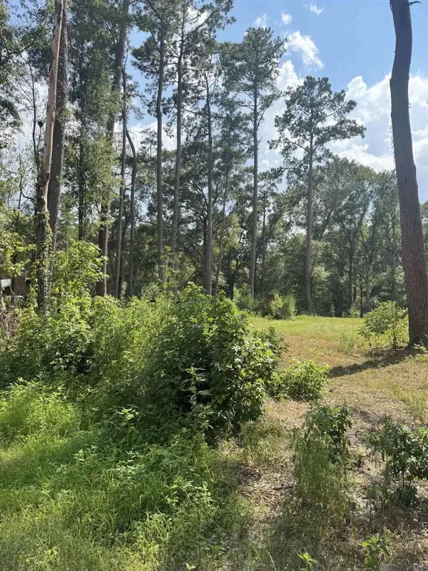 22863 Green Acres Blvd, Denham Springs, LA 70726