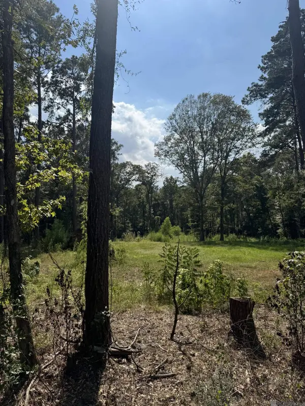 22863 Green Acres Blvd, Denham Springs, LA 70726