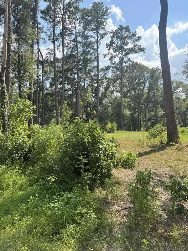22863 Green Acres Blvd, Denham Springs, LA 70726