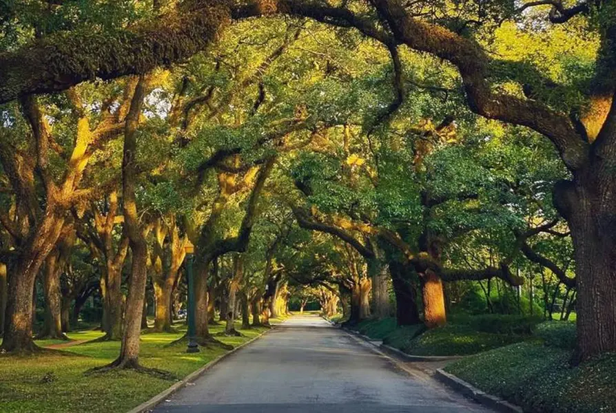 River Oaks