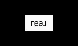 Real Broker, LLC