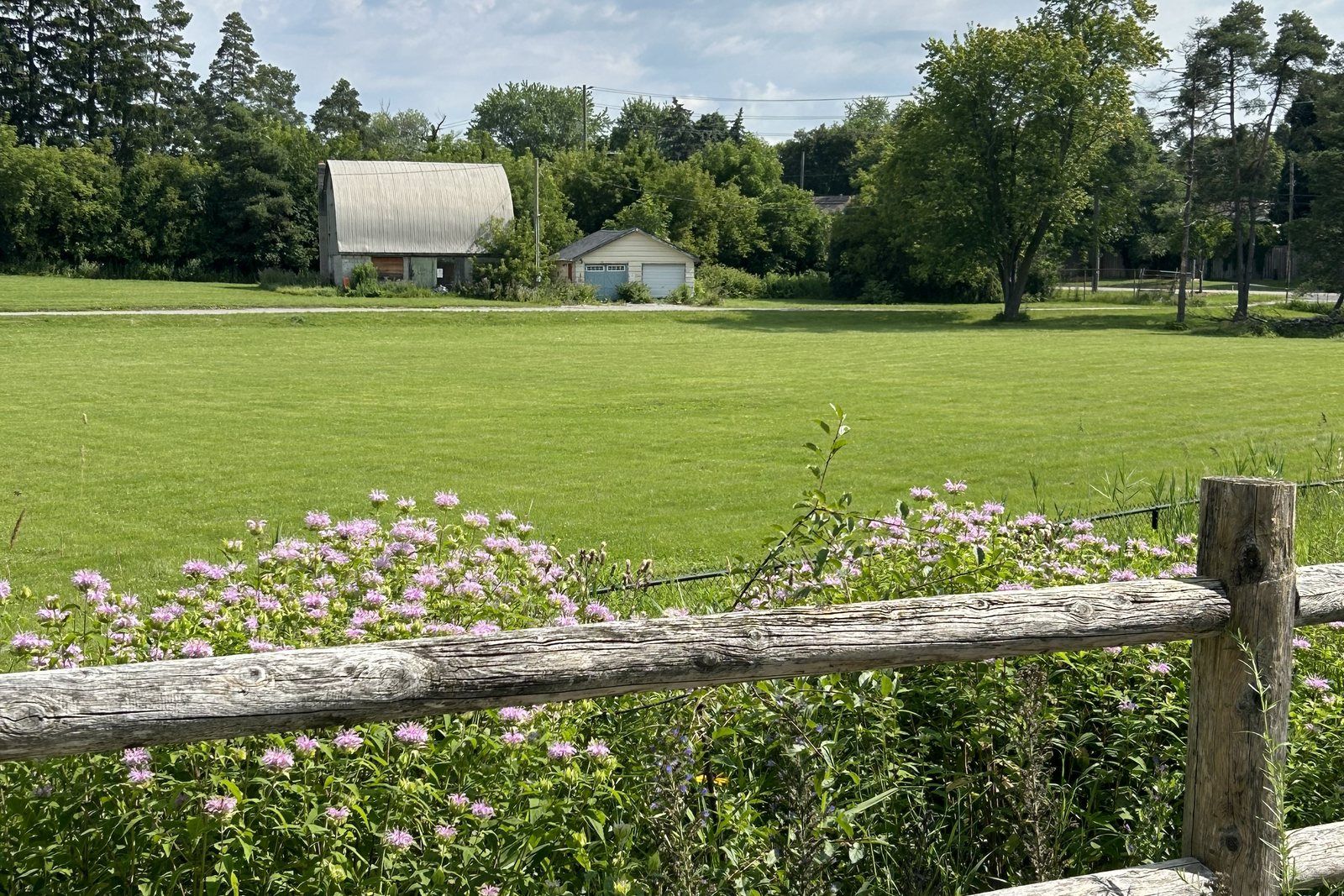 Pasture with a barn and split-rail fence