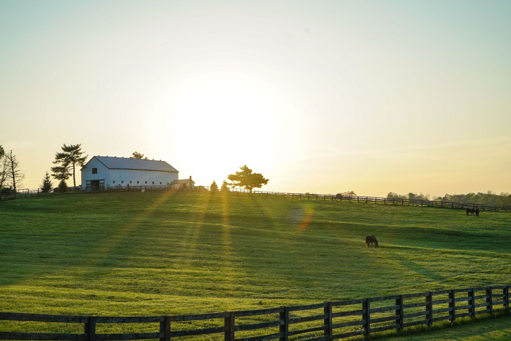 White barn on a hill above fenced pasture at sunrise