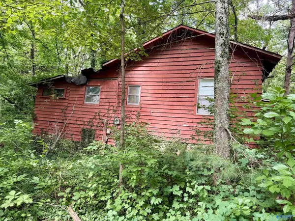 118 S Cool Street, Mentone, AL 35984