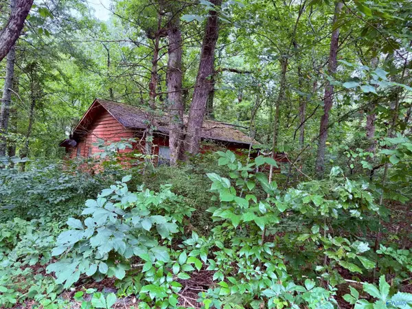 118 S Cool Street, Mentone, AL 35984