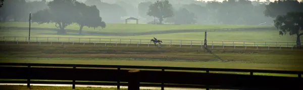 feature image of Iconic Horse Farms | Bridlewood Farm
