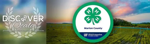 feature image of Discover Ocala Podcast | Episode 33 - Marion County 4H