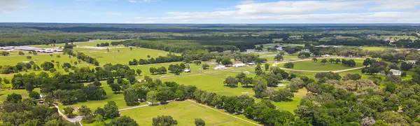 feature image of High Flying Dreams Landed Tom Equels in the Heart of Ocala Horse Country