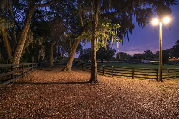 14650 NW 160TH AVE, Williston, FL 32696