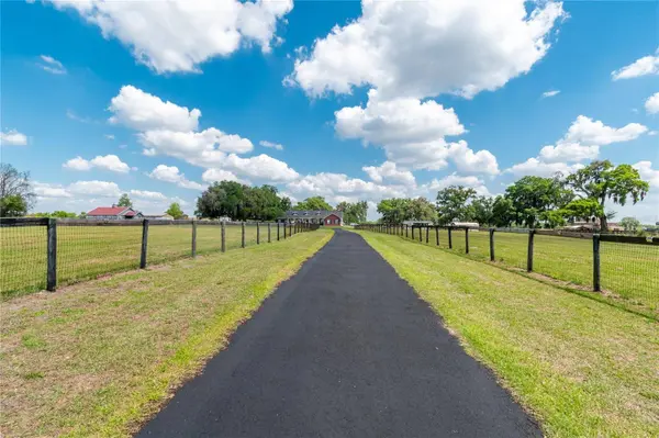 13025 NW GAINESVILLE RD, Reddick, FL 32686