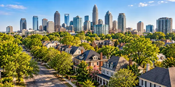 Leafy Neighborhood Beneath the Downtown Skyline