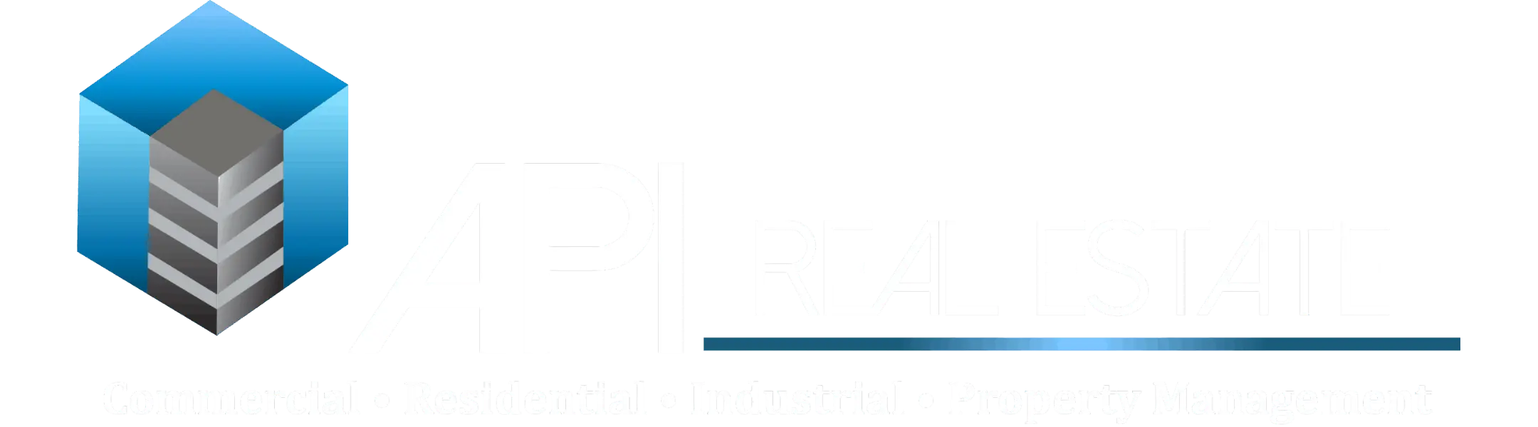 API Logo 2026 white